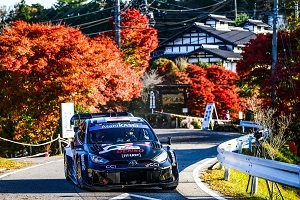 紅葉とラリーカー