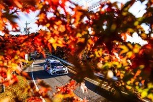紅葉とラリーカー