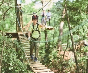 フォレストアドベンチャー