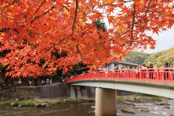 香嵐渓の紅葉