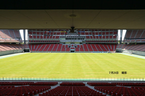 2025年7月24日の芝生の様子