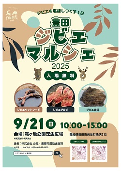 チラシ表