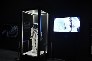 写真：特別展の様子