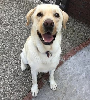 だいすけ（写真）