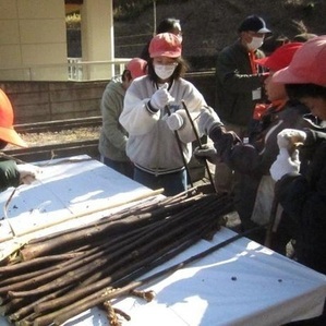 昨年の様子（写真）