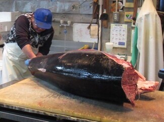 過去のマグロ解体の様子（写真）