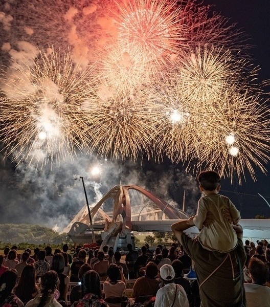 写真:豊田おいでんまつり花火大会