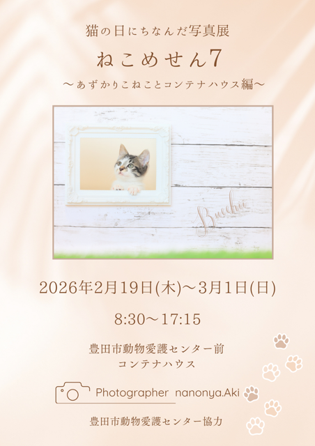 写真展「ねこめせん7 ～あずかりこねことコンテナハウス編～」