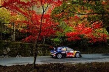 紅葉とラリーカー