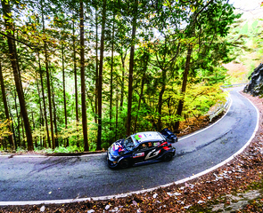 山間部SSを走行するラリーカー