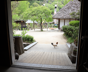 岡田さんの作業場の建物入口内部から見る足助屋敷の庭