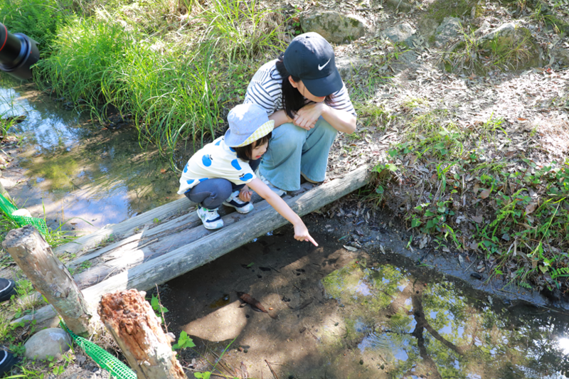 写真　児ノ口公園の小川の橋の上で水面をながめる親子