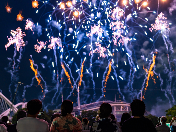写真：おいでん花火