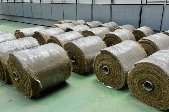 圃場から搬入した芝生のロール