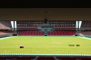 2025年7月22日の芝生の様子