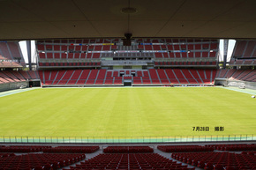 2025年7月28日の芝生の様子