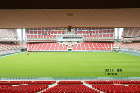 2025年8月5日の芝生の様子