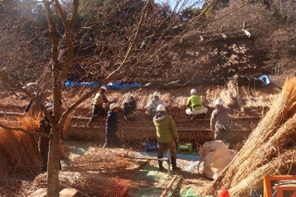 ＜展示写真（屋根葺き替えの様子）＞画像