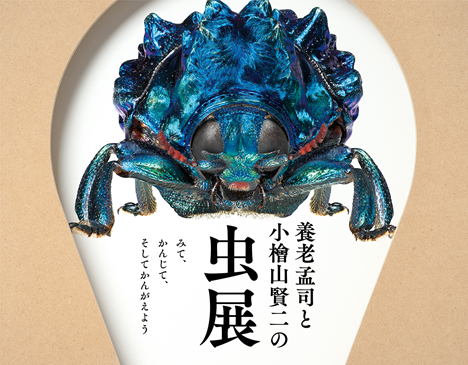 企画展「養老孟司と小檜山賢二の虫展-みて、かんじて、そしてかんがえよう」のチラシ画像