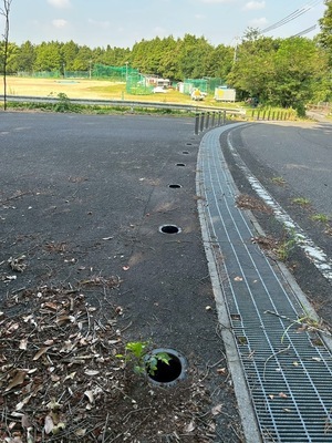 被害場所（写真）