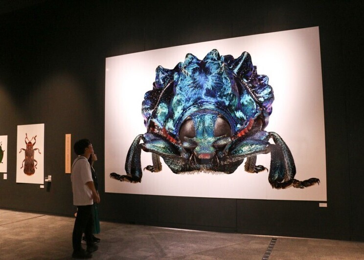 写真：企画展の様子
