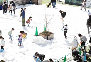 写真：雪まつり