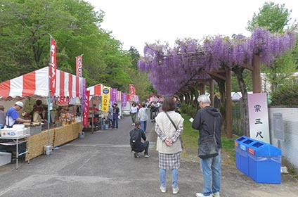 写真：ふじまつり2026