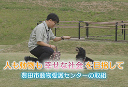 写真:豊田市動物愛護センターの取組