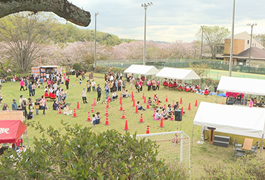 写真：平戸橋桜まつり2021