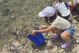 写真：小学生による「鮎の放流体験」