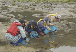 写真：川の学習と稚鮎の放流体験