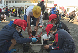 写真：新博物館のどんぐりの森づくりに向けて小学生が種まき