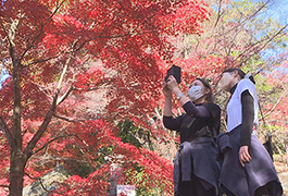 写真：勘八峡紅葉ウオーキング