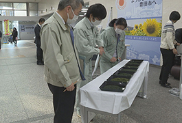 写真：豊田市農林畜産物品評会「かぶせ茶･てん茶の部」