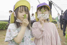 写真：市長と園児が新茶の茶摘みを体験