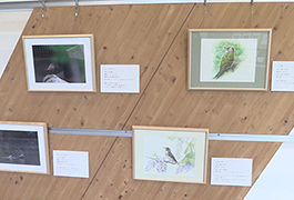 写真：企画展「野鳥のいる風景～写真と水彩画 二人展～」