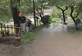 写真：香嵐渓クリーン活動