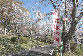 写真：平戸橋桜まつり2023･民俗芸能祭