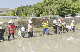 写真：小原中部小学校 全校児童で田植え