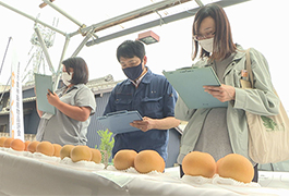 写真：豊田市農林畜産物品評会「梨の部」