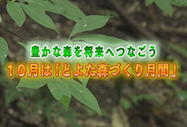 写真：豊かな森を将来へつなごう 10月は「とよた森づくり月間」