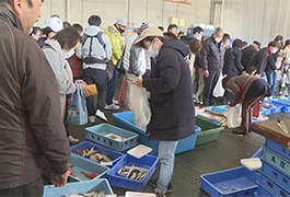 写真：来て！見て！買って！卸売市場一般開放