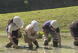 写真：小原中部小学校 全校児童で田植え