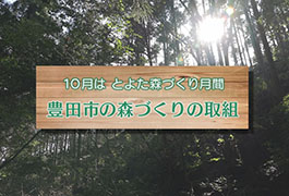 写真：豊田市の森づくりの取組