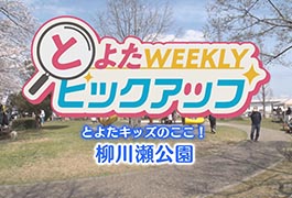 写真：とよたキッズのここ! 柳川瀬公園
