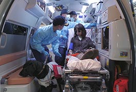 写真：盲導犬救急対応訓練