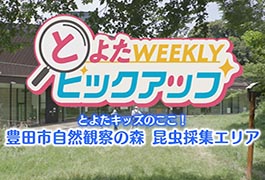 写真：とよたキッズのここ! 豊田市自然観察の森 昆虫採集エリア