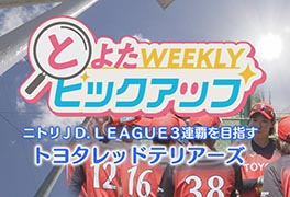 写真：トヨタレッドテリアーズ
