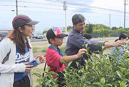 写真：めざせ!!お茶博士 豊田のお茶のひみつ探求バスツアー