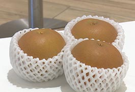 写真：豊田市農林畜産物品評会「梨の部」